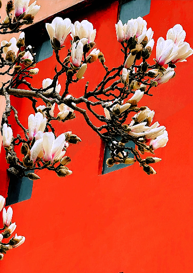 財信集團剪影丨“春已成花”