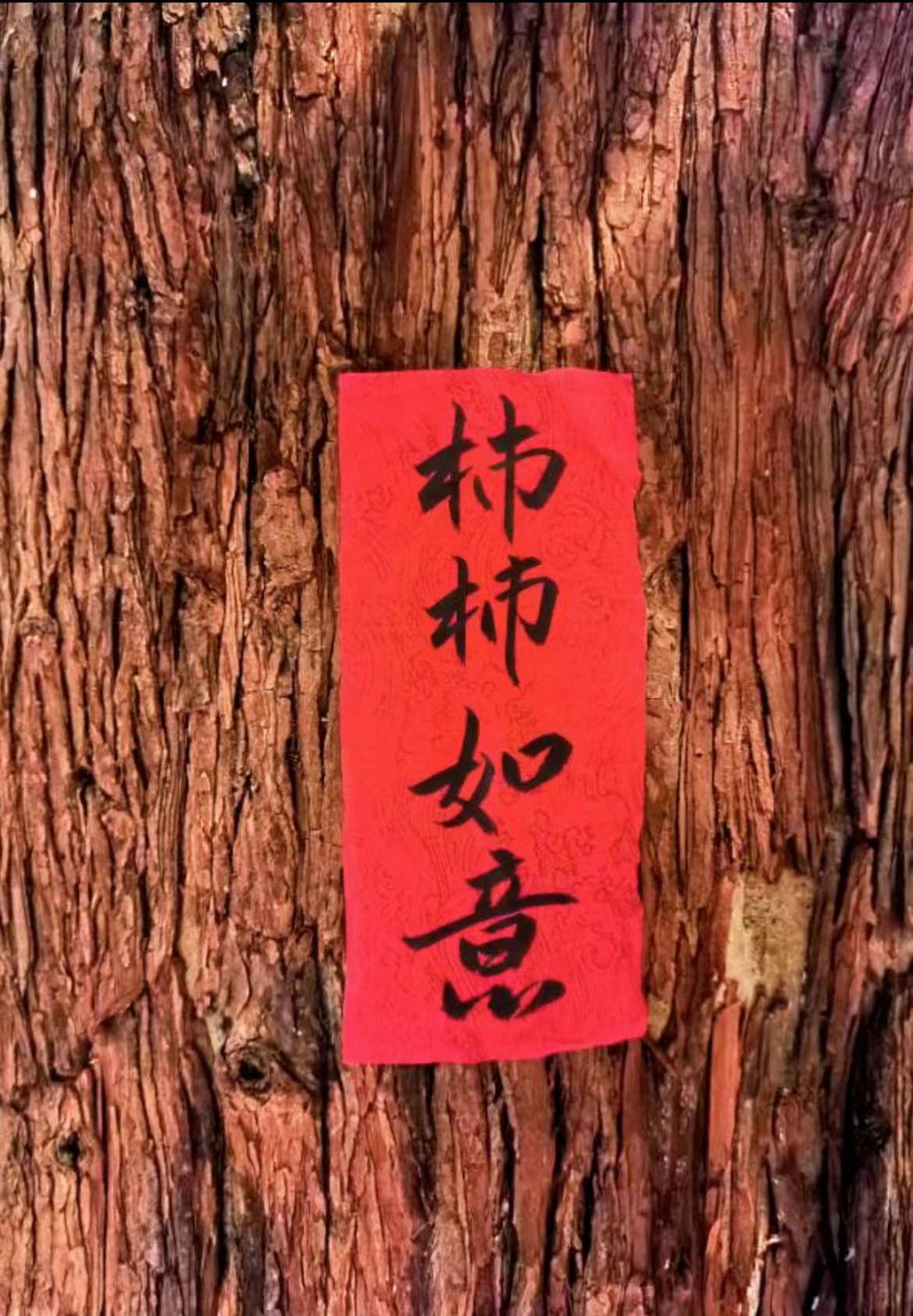 財信集團剪影丨“谷雨”